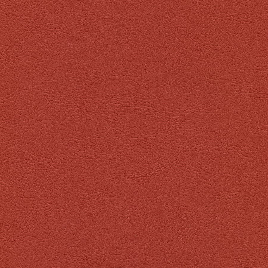 Tandoori