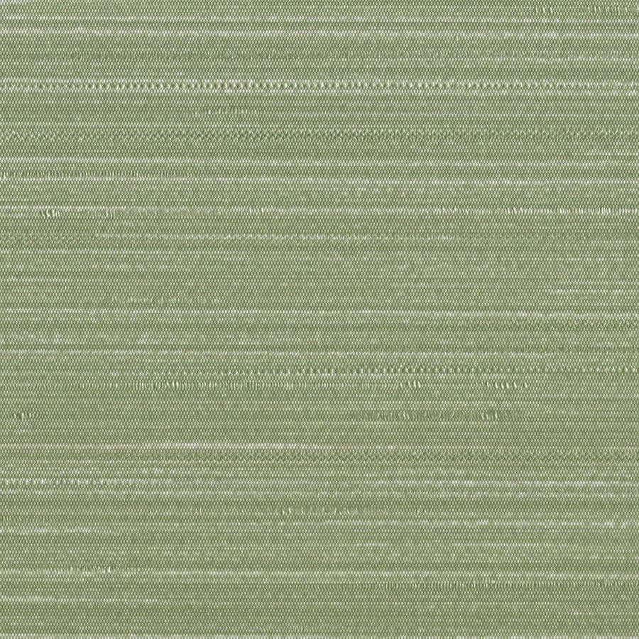 Eucalyptus