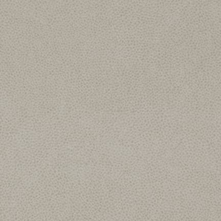 Parchment