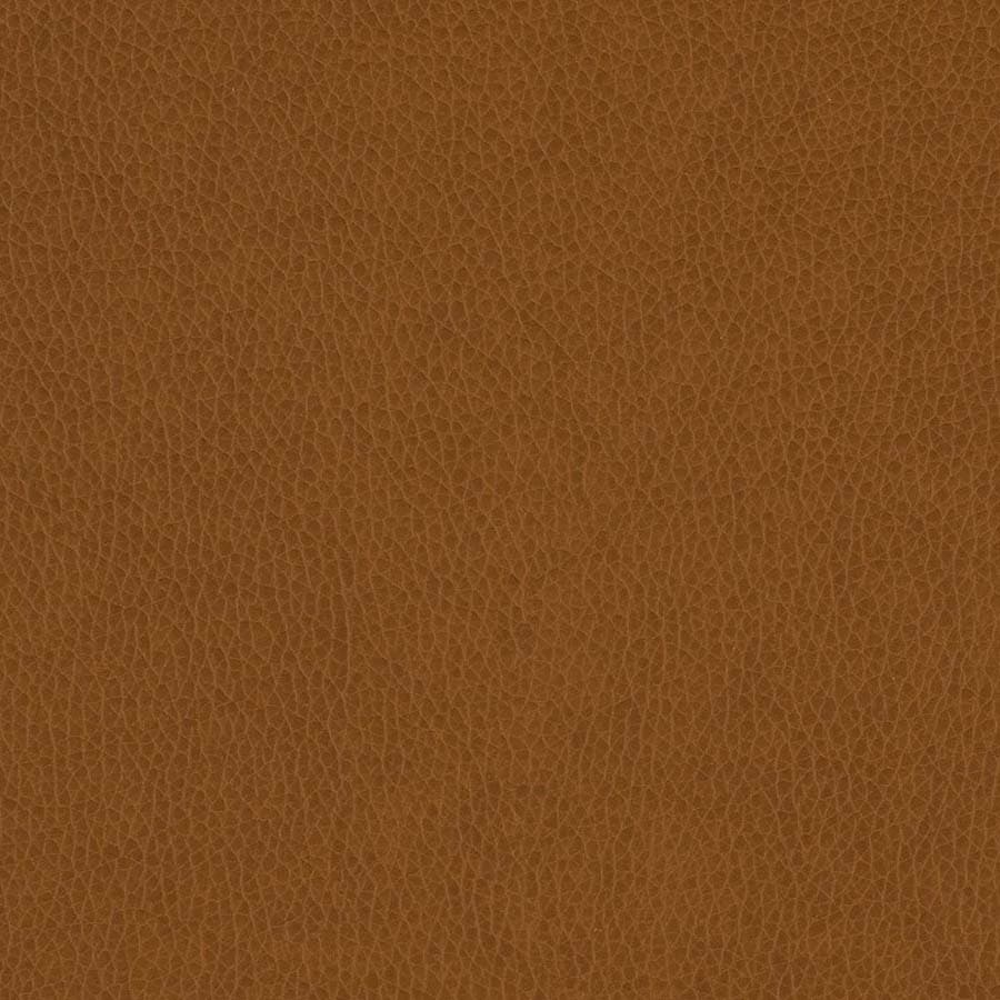 Kalahari