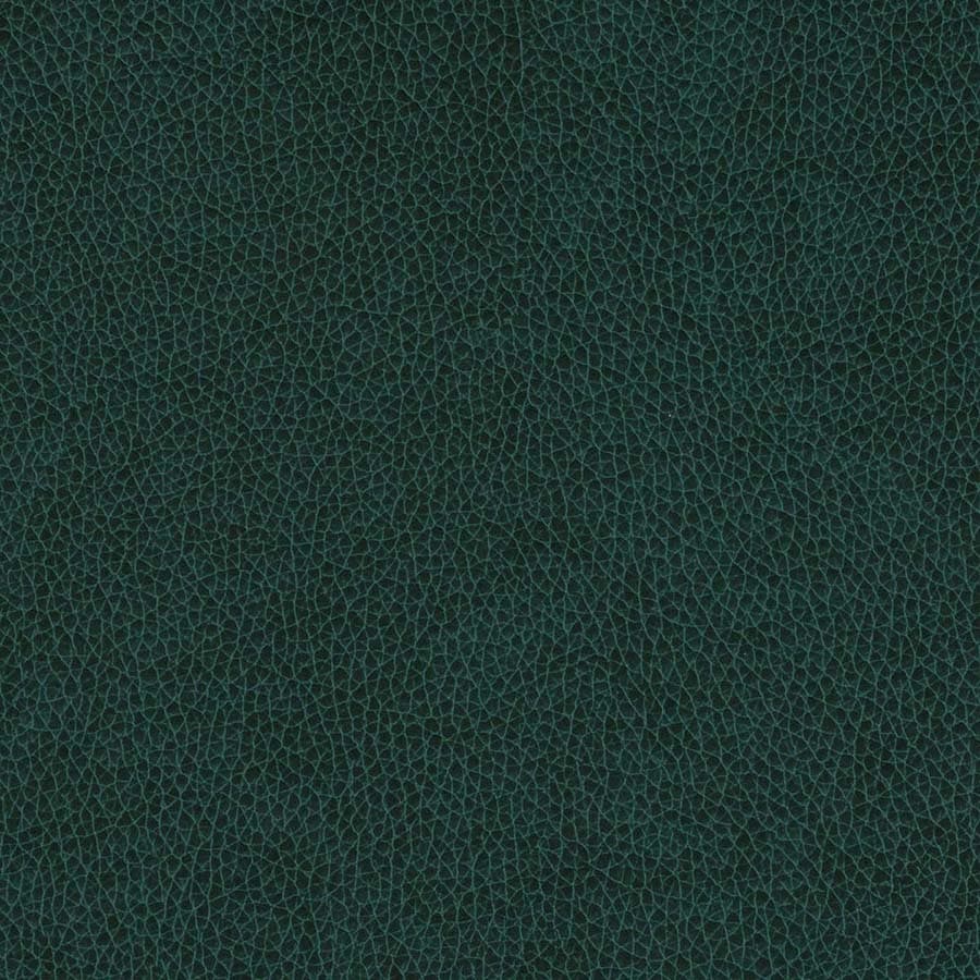 Poseidon