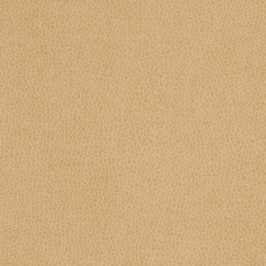 Parchment