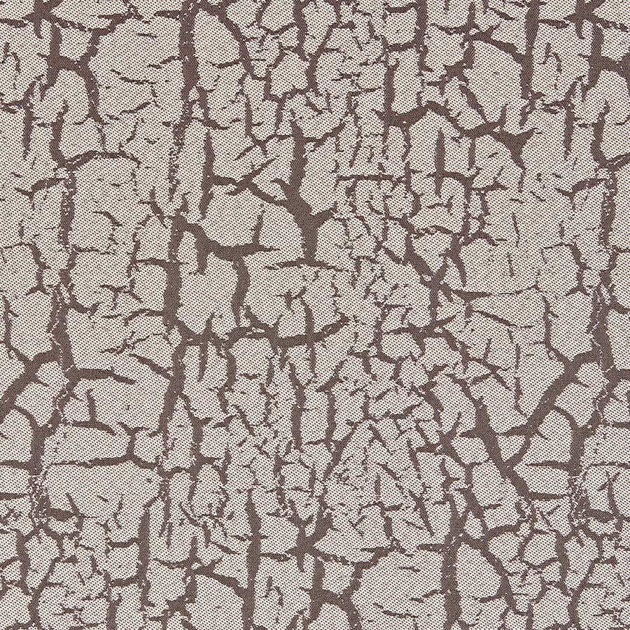 Desert