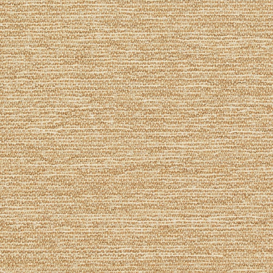 Video - Almond