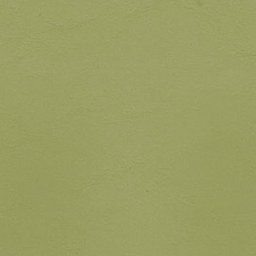 Allante - Parrot