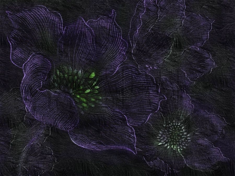SN106-COL3