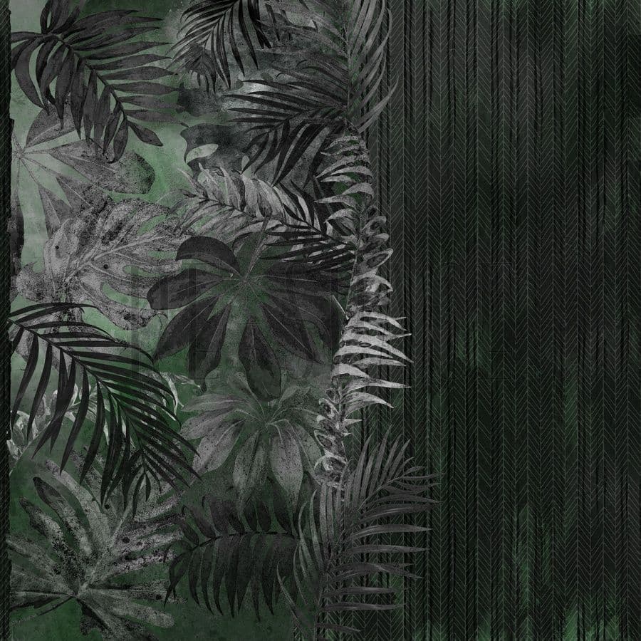 SN87-COL2