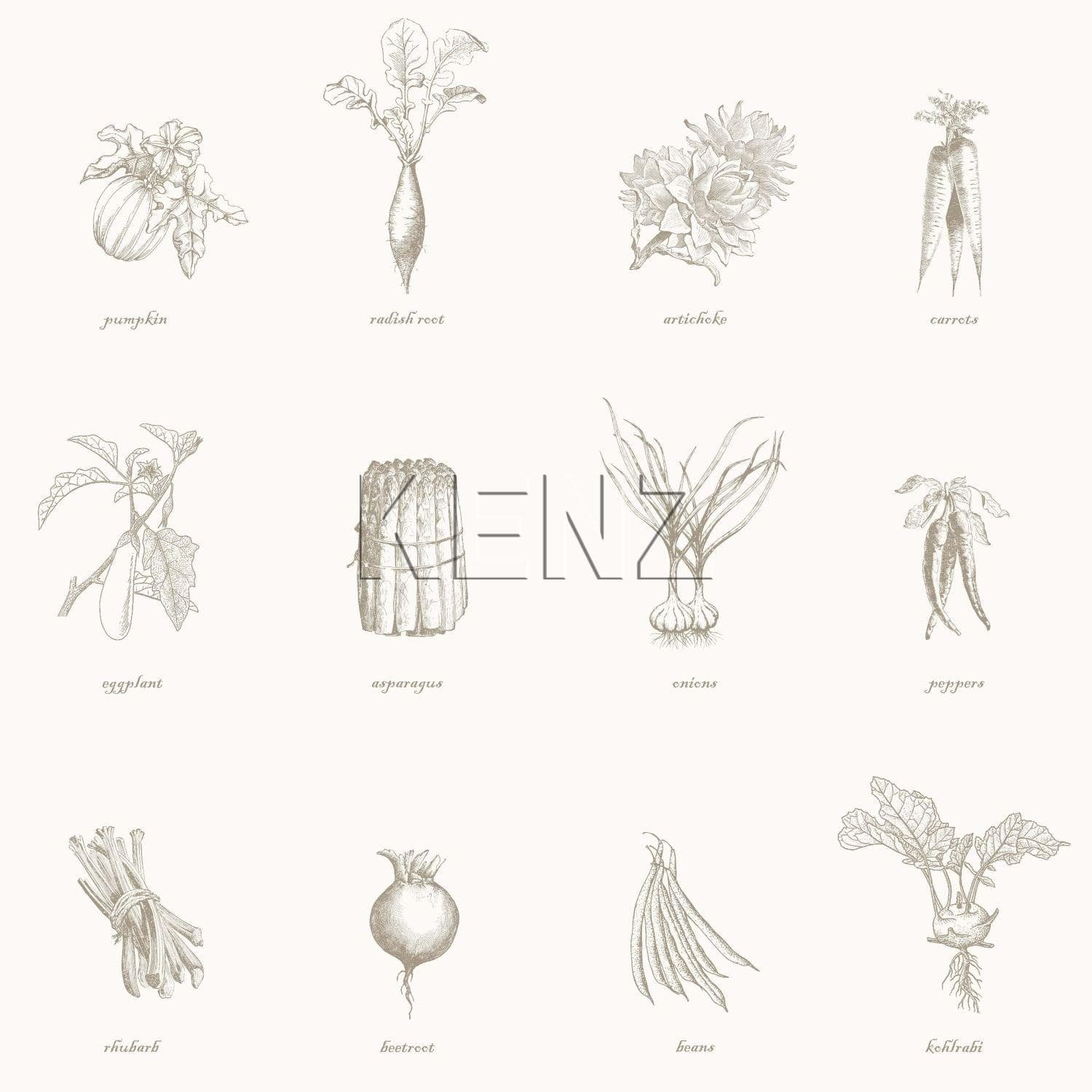 wallpaper vegetables beige 127613