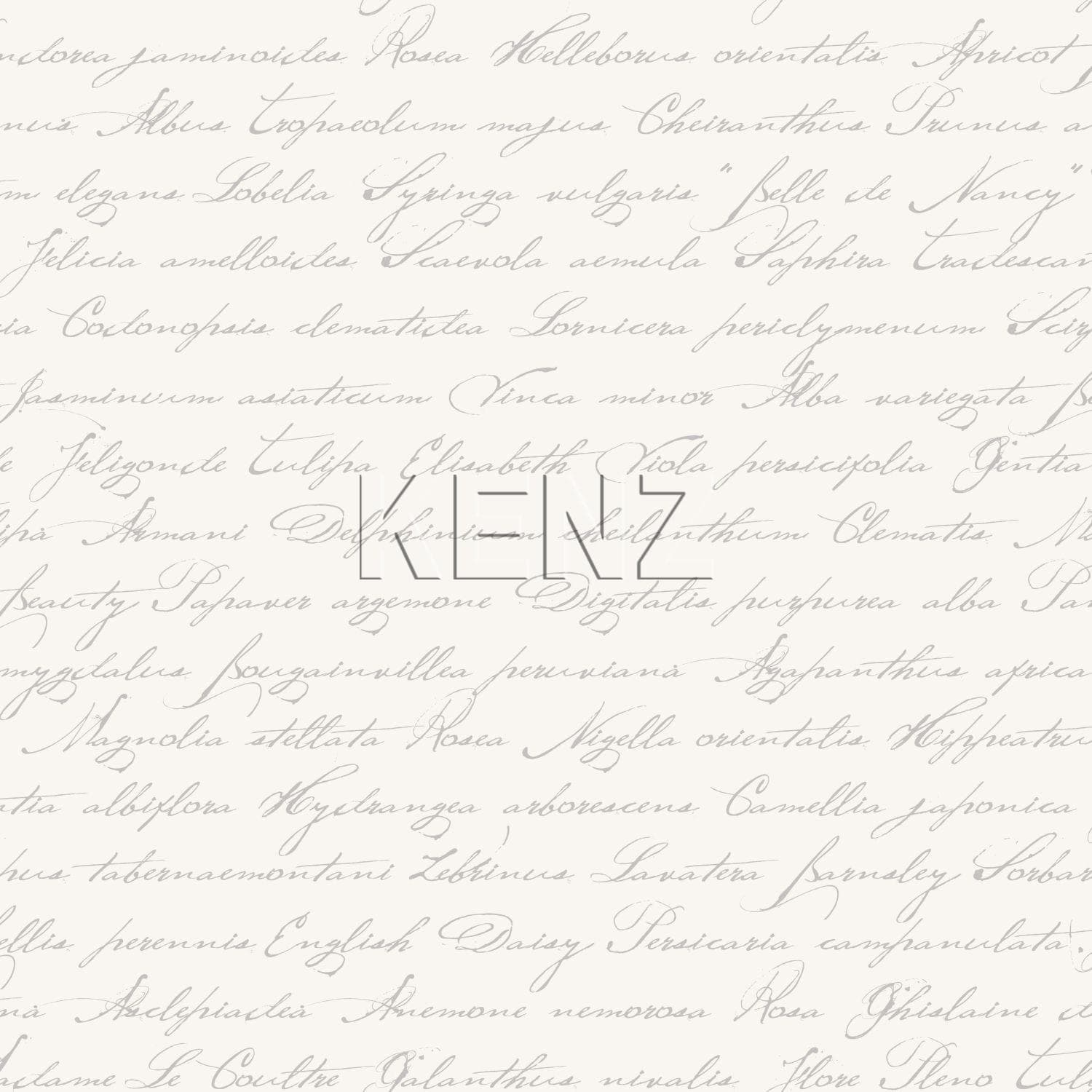 wallpaper handwritten latin flower names silver 128031