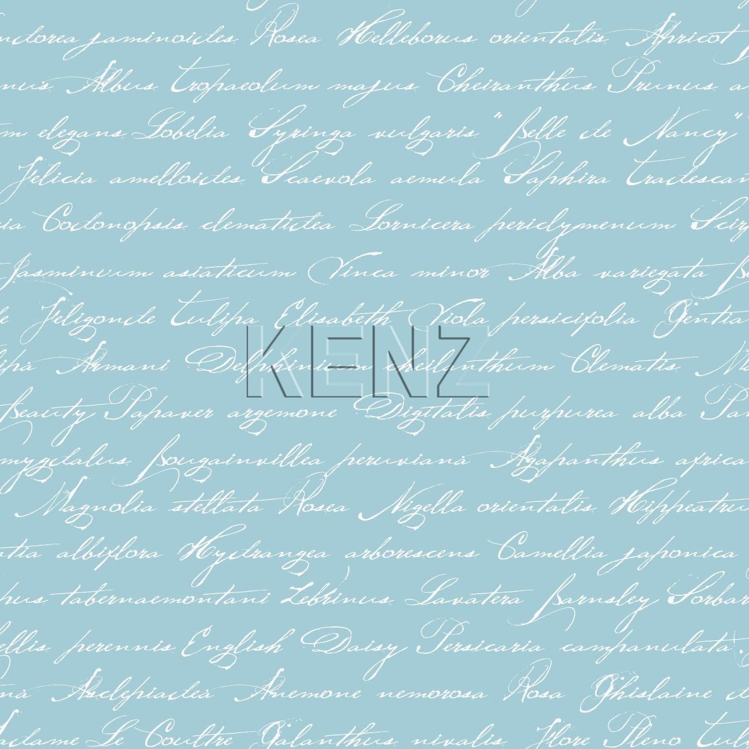 wallpaper handwritten latin flower names light azure blue 128037