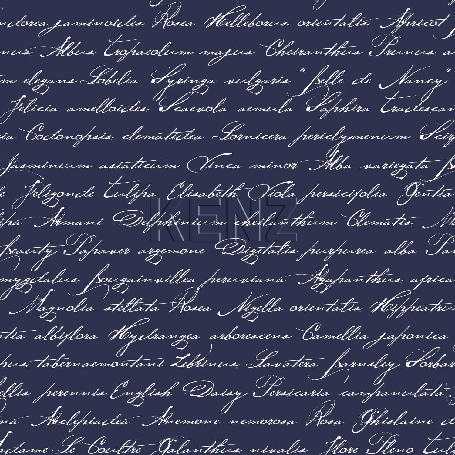 wallpaper handwritten latin flower names dark blue 128040