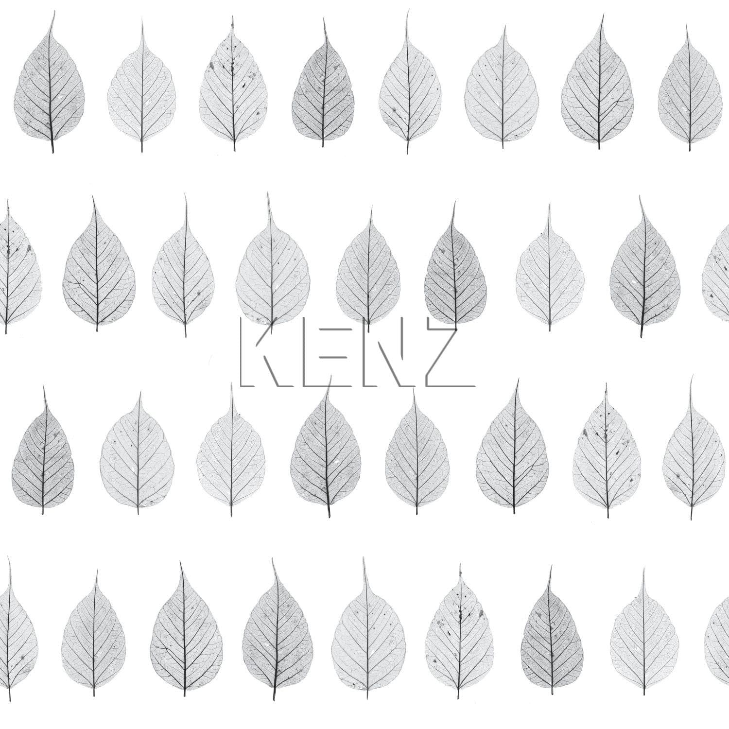 wallpaper skeleton leaves black, light warm gray and matt white 128846