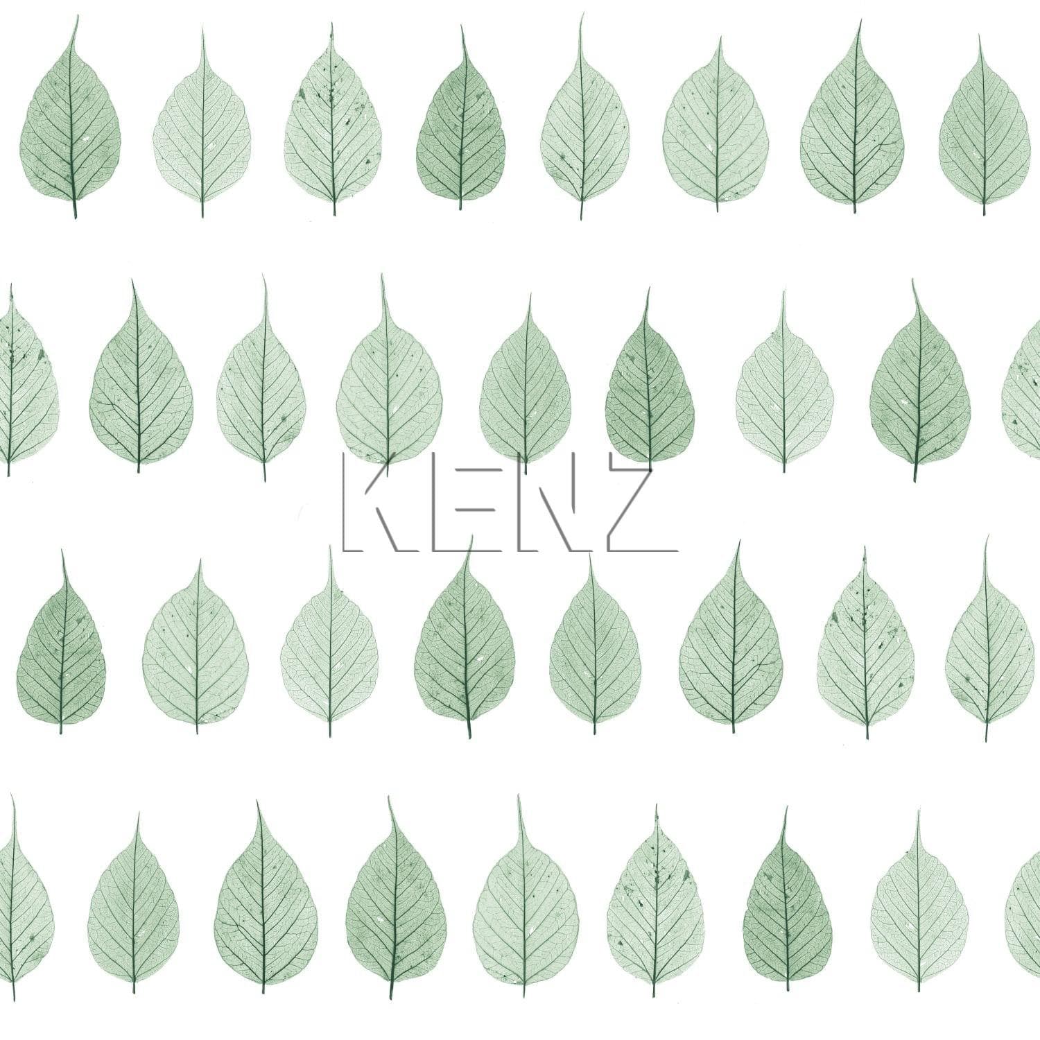 wallpaper skeleton leaves tropical jungle green and matt white 128847