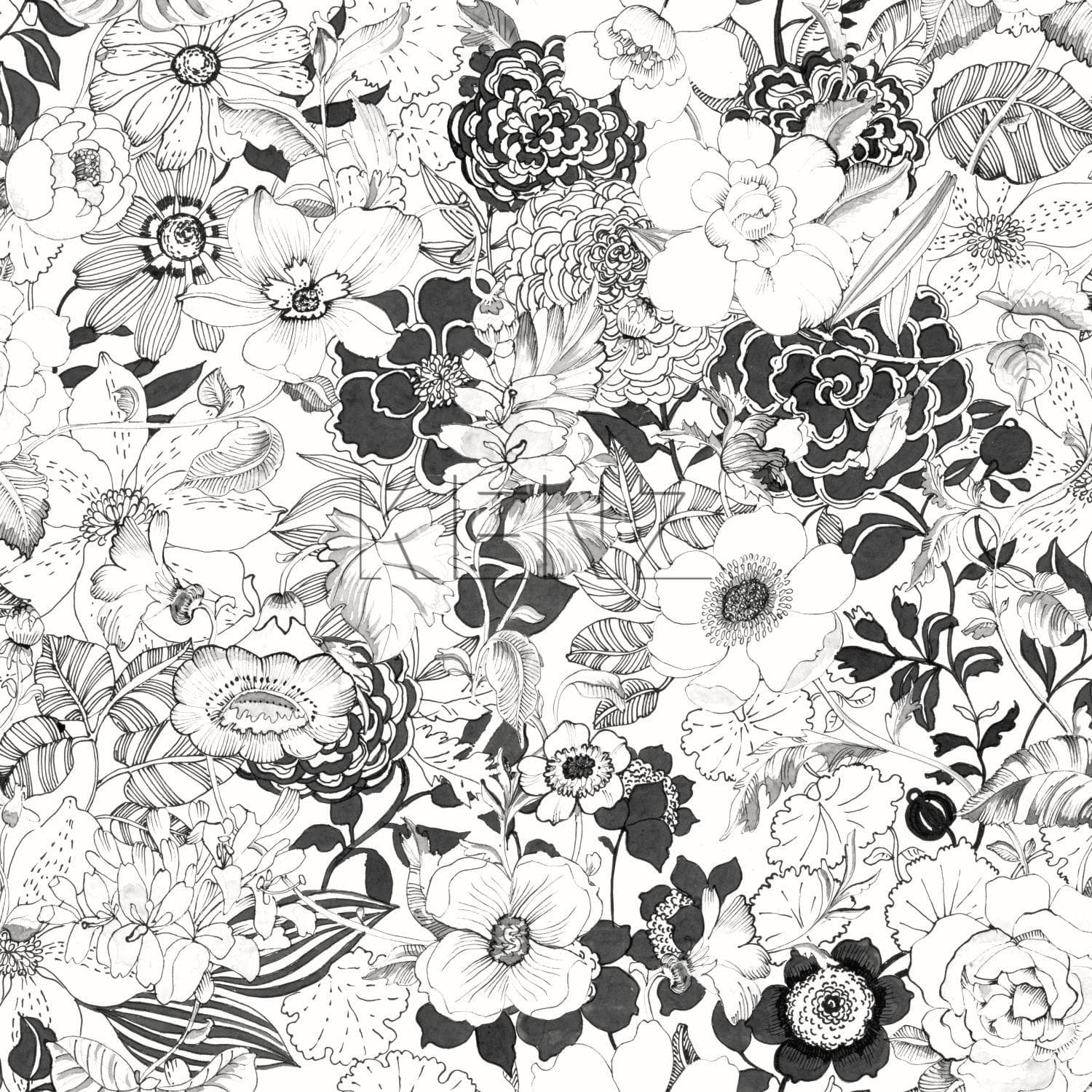 wallpaper flowers black and white 138503