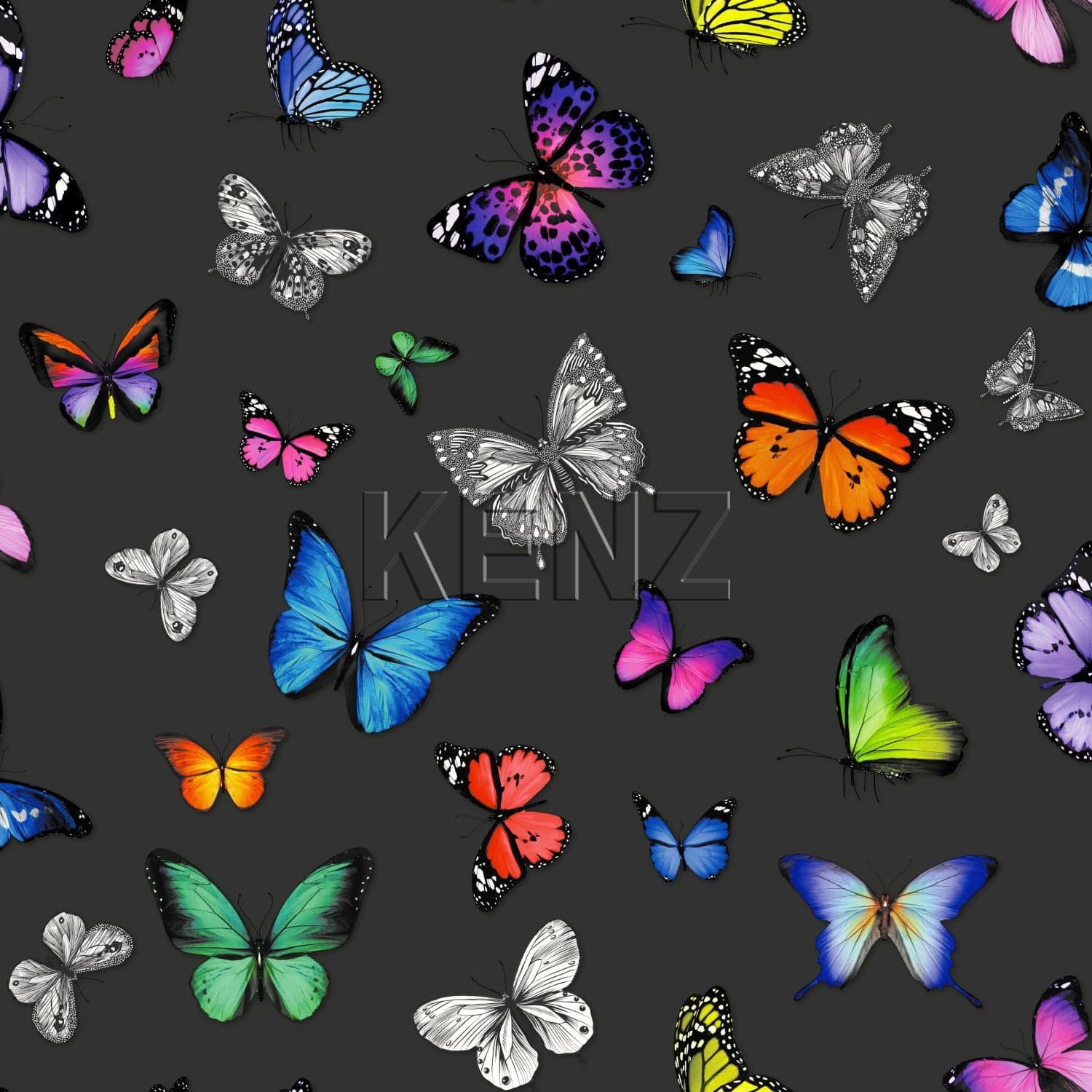 wallpaper butterflies multicolor on black 138508
