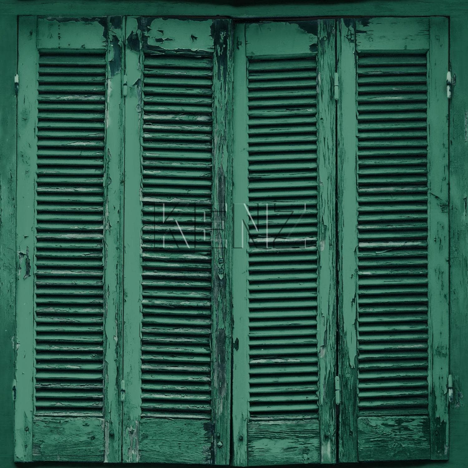wallpaper weathered wooden French vintage louver shutters emerald green 138885