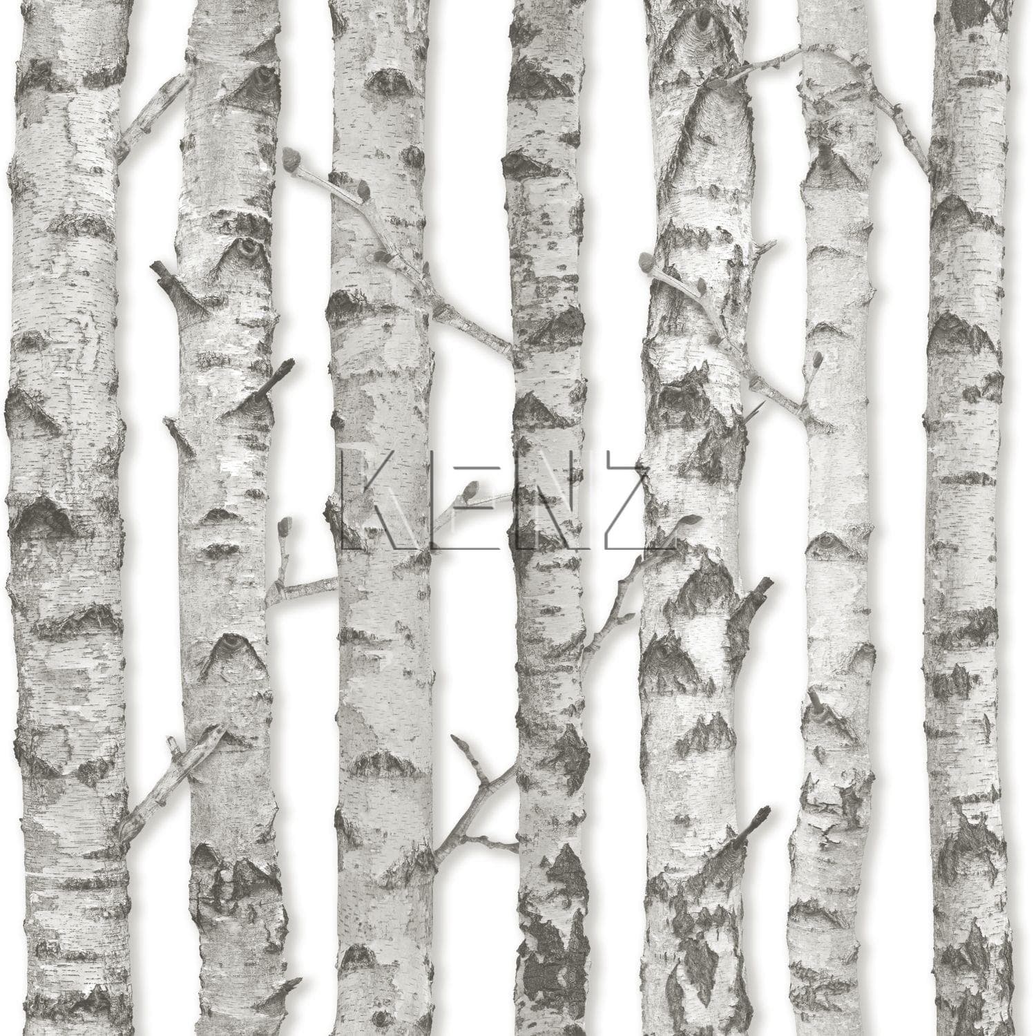 wallpaper birch tree trunks light warm gray 138889