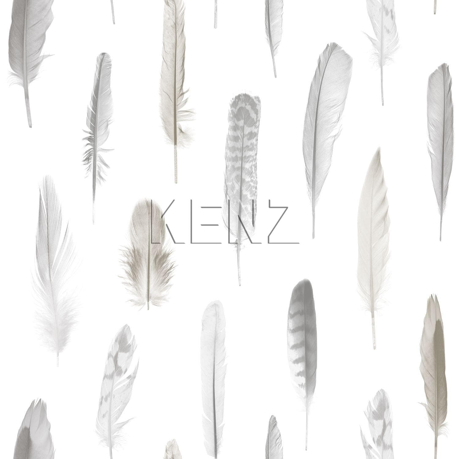 wallpaper feathers light cream beige 138893
