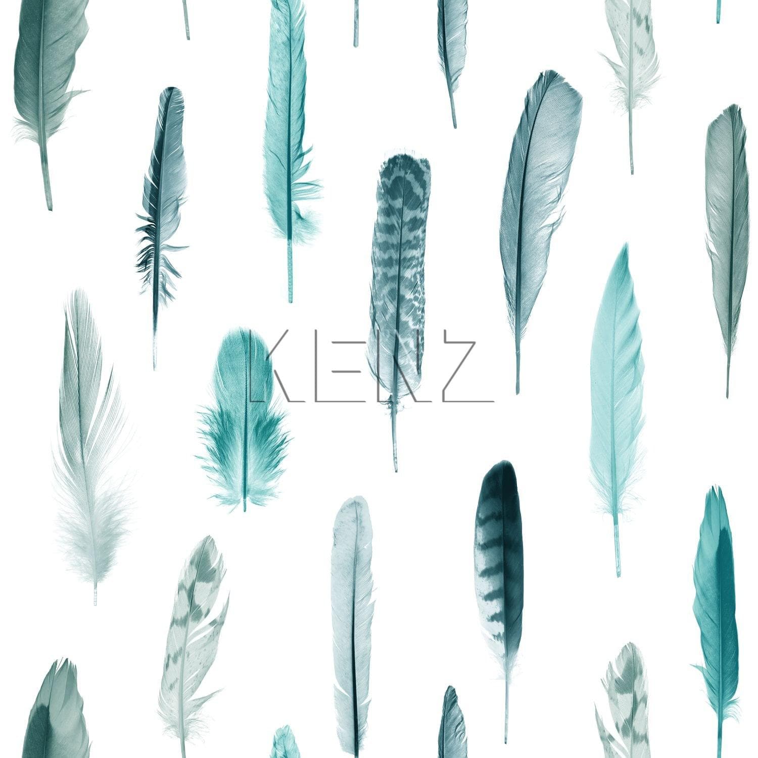 wallpaper feathers turquoise and matt white 138895