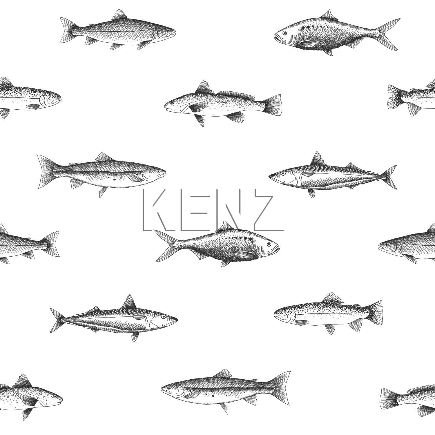 wallpaper pen drawing fish white and black 138967