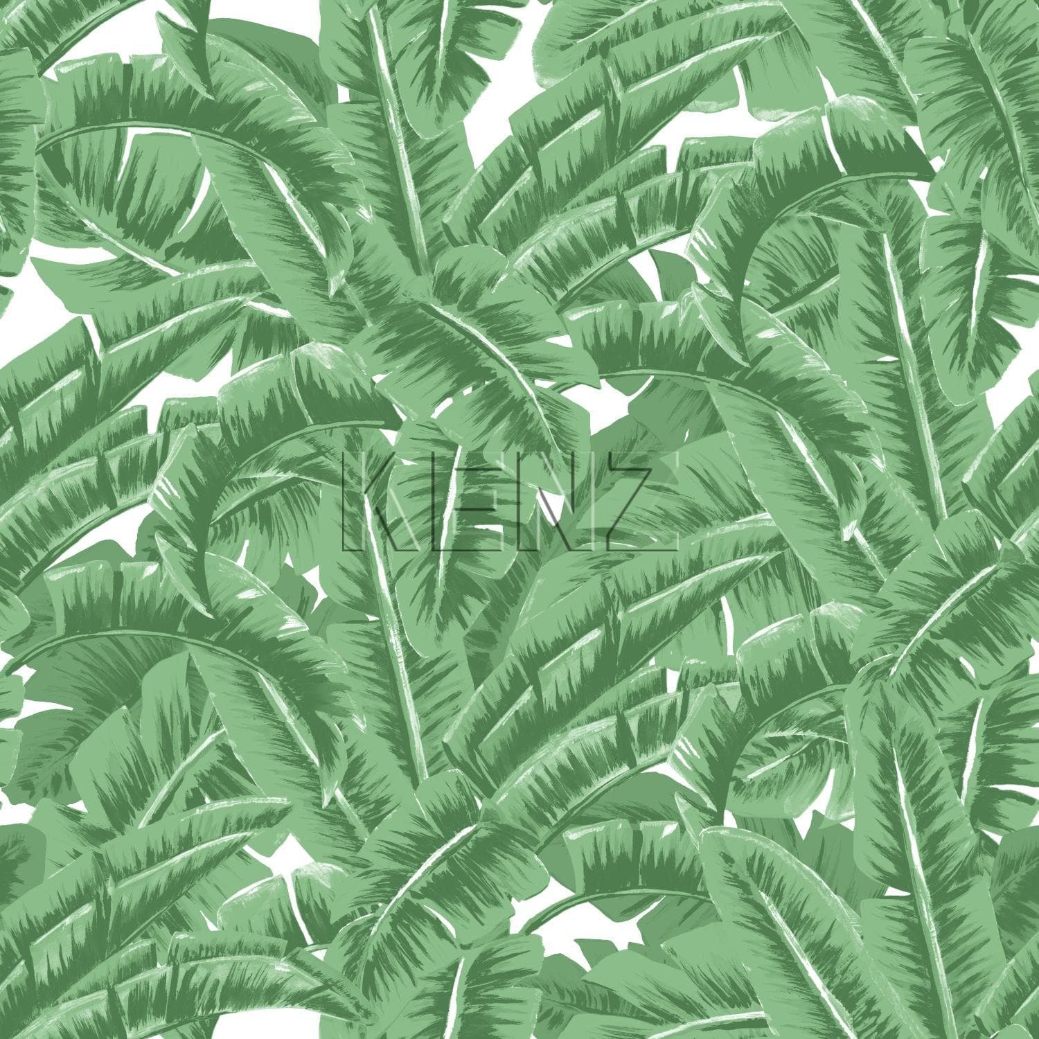 wallpaper banana leaves green 138984