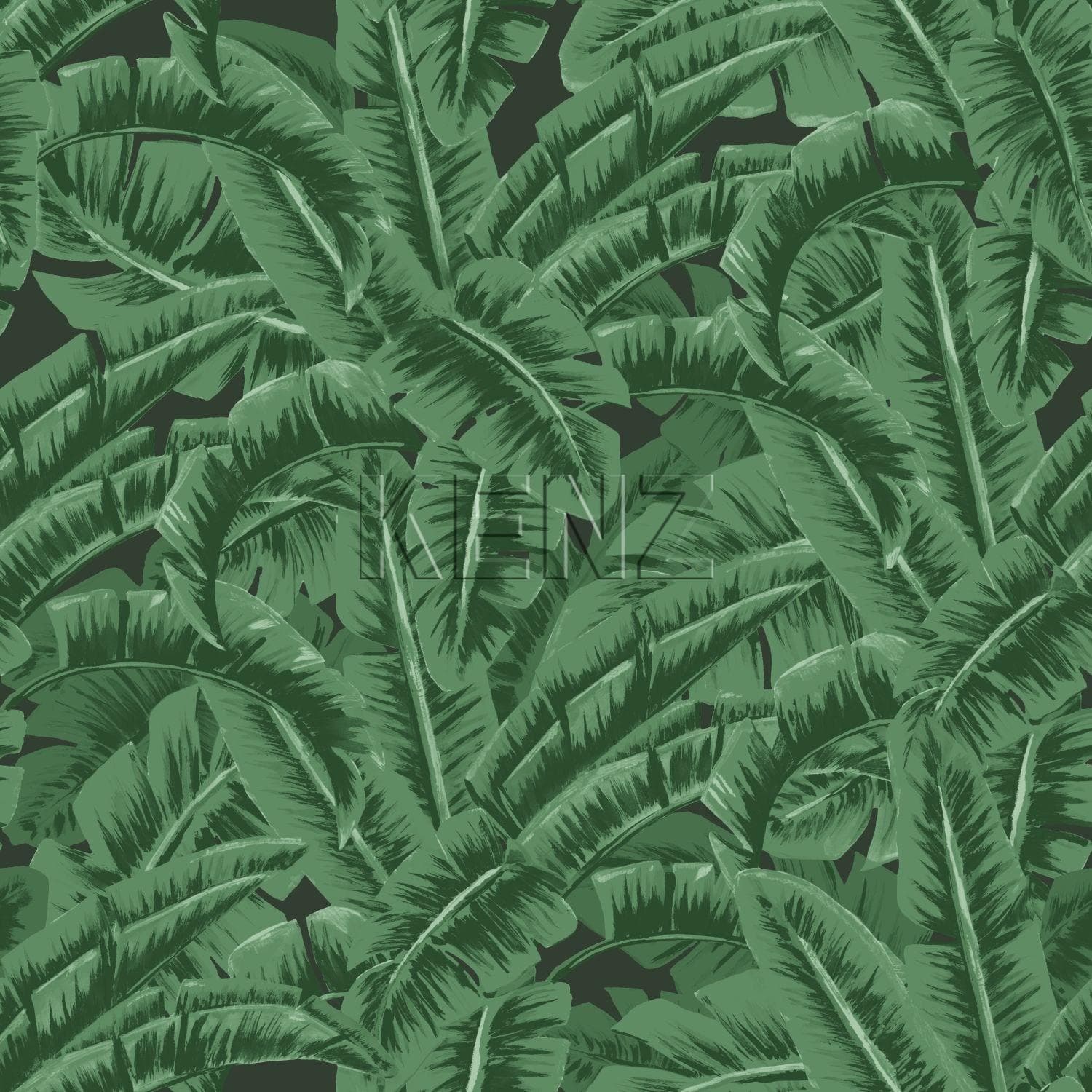 wallpaper banana leaves dark green and black 138985