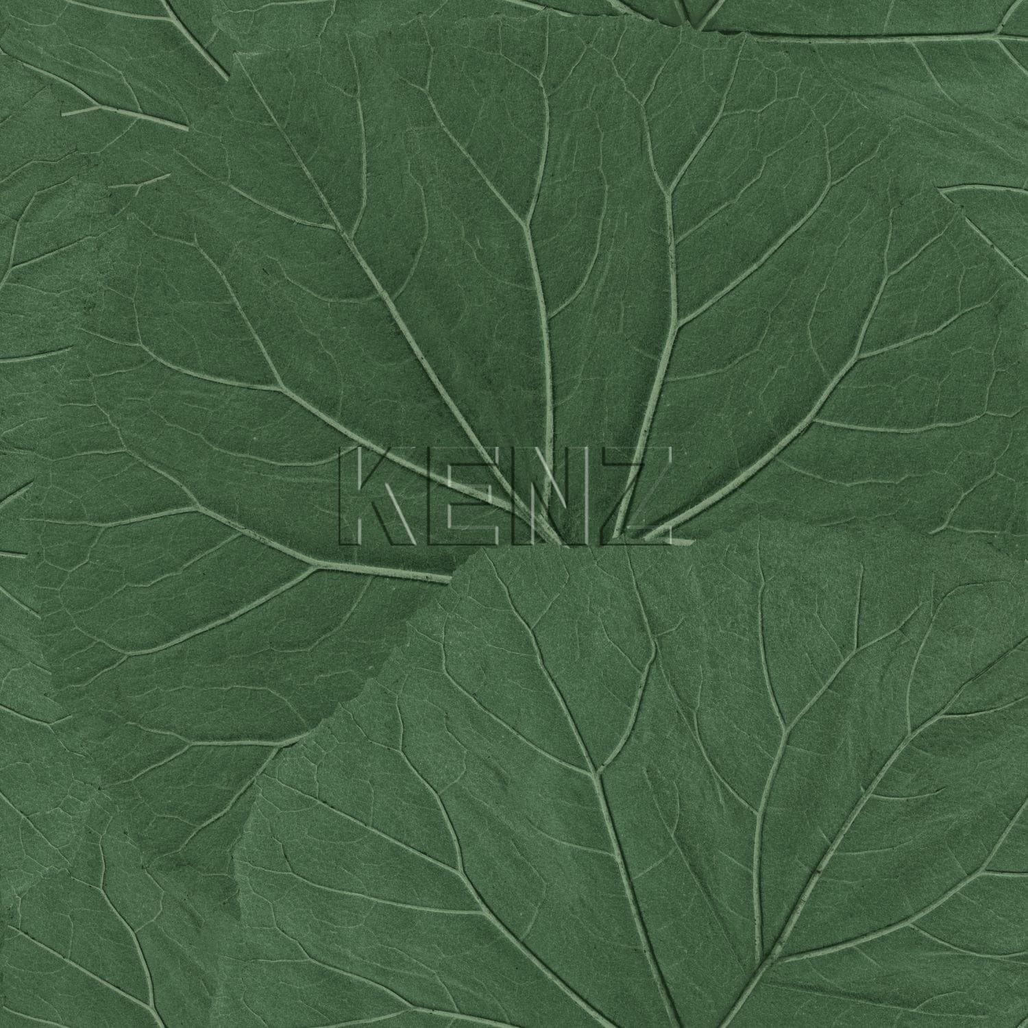 wallpaper large leaves dark green 138996
