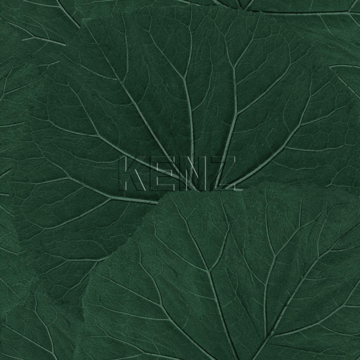 wallpaper large leaves emerald green 138997
