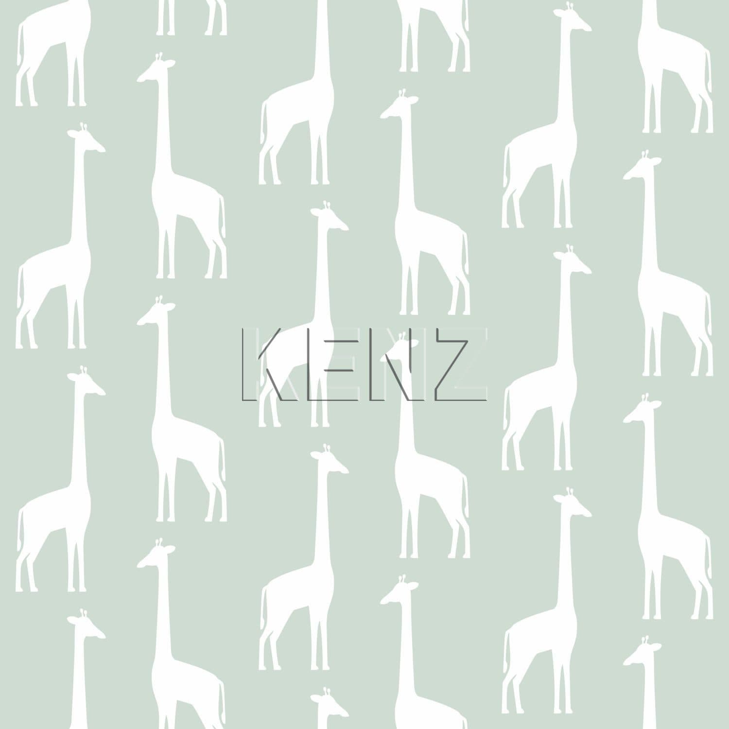 wallpaper giraffes mint green 139058