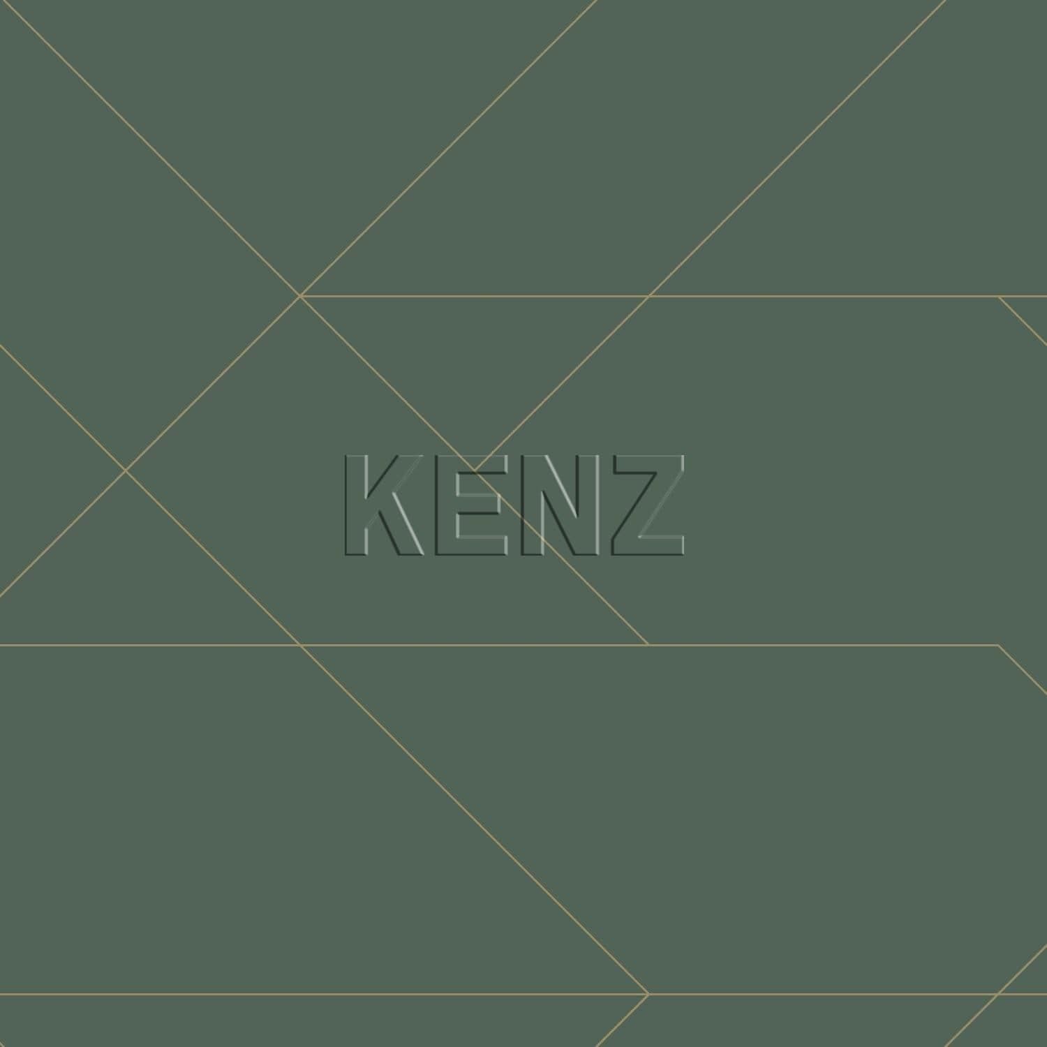wallpaper graphic lines dark green and gold 139212