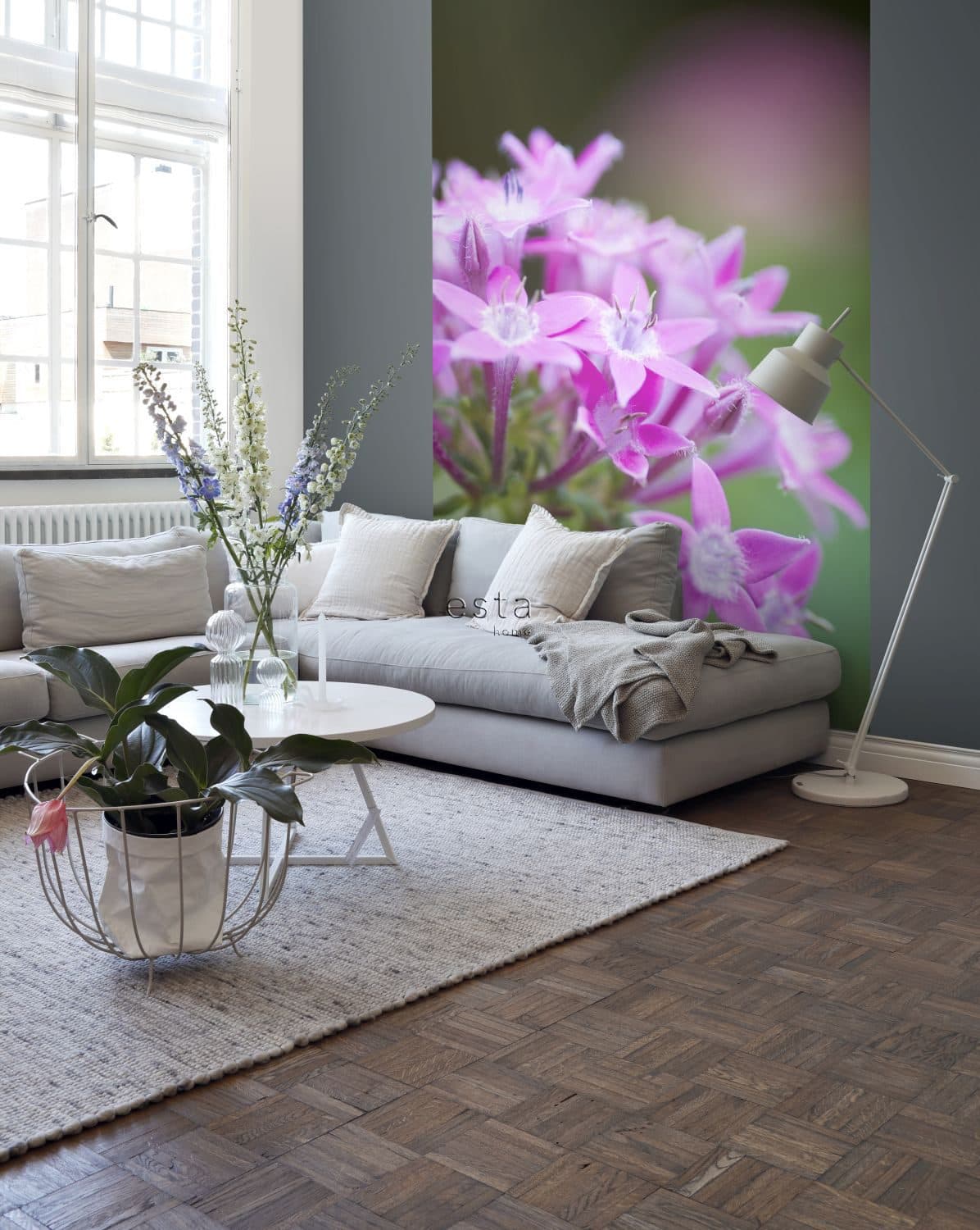 wall mural star flower pink 158006