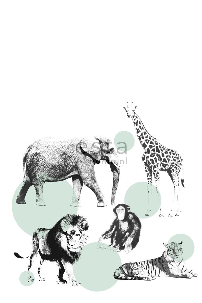 wall mural animals mint green 158704