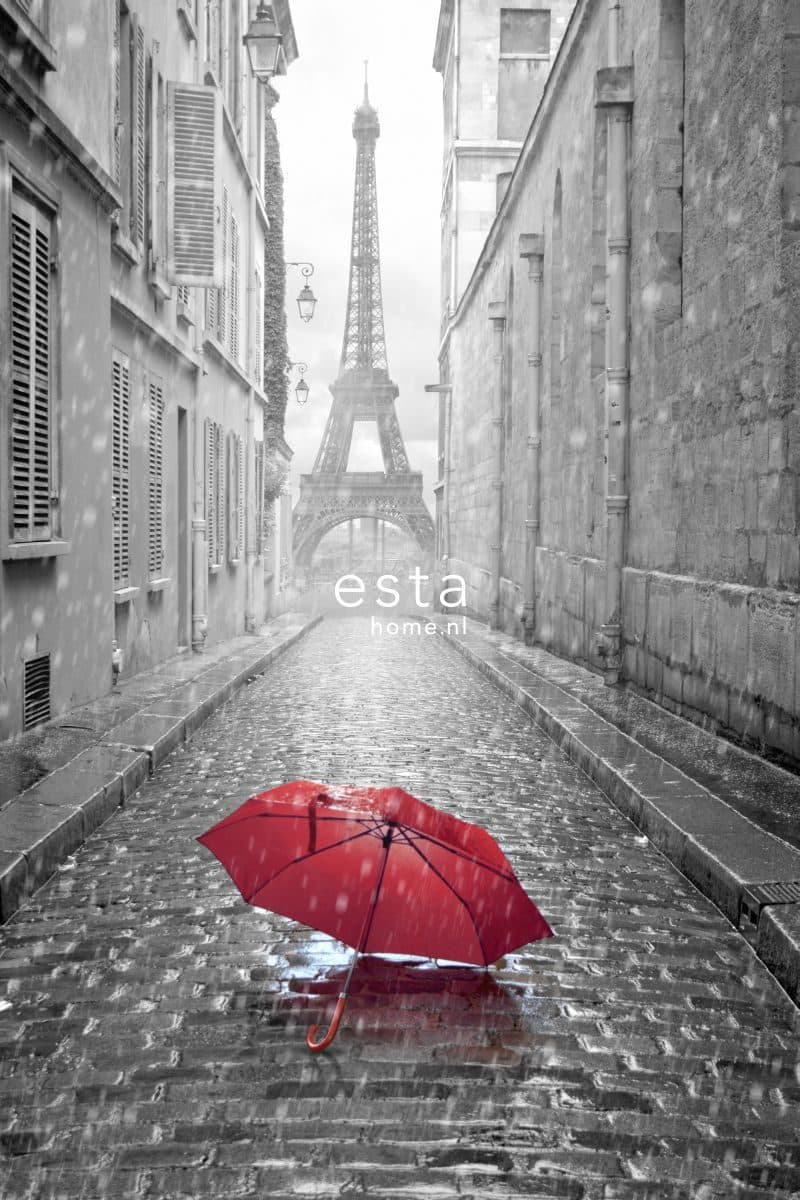 wall mural Paris city view gray and red 158811