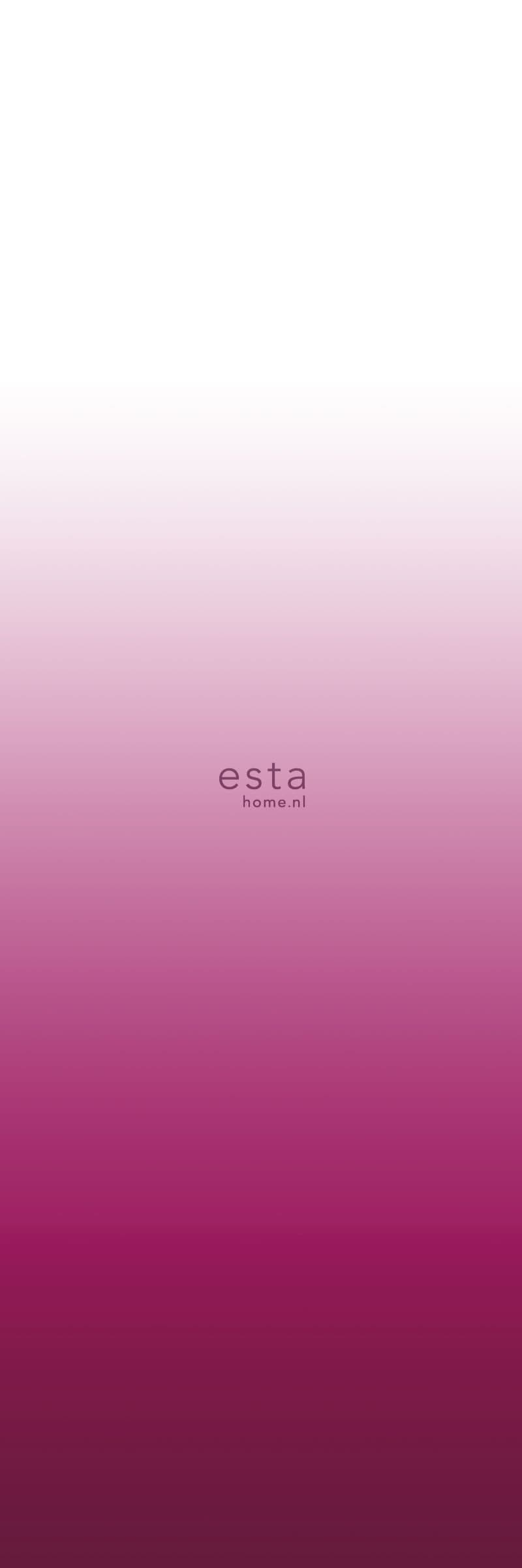 wall murals wall-to-wall dip dye color gradient fuchsia pink and matt white 158819