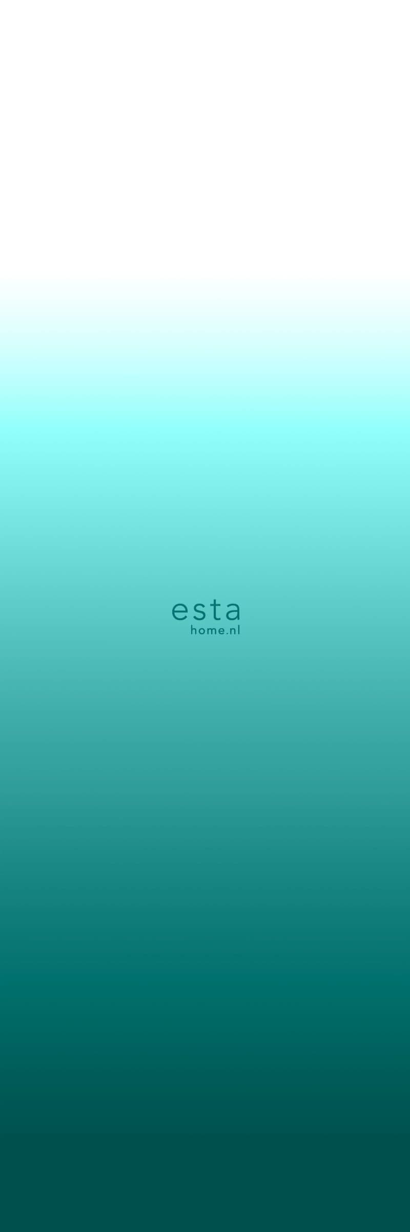 wall murals wall-to-wall dip dye color gradient intense turquoise and matt white 158820