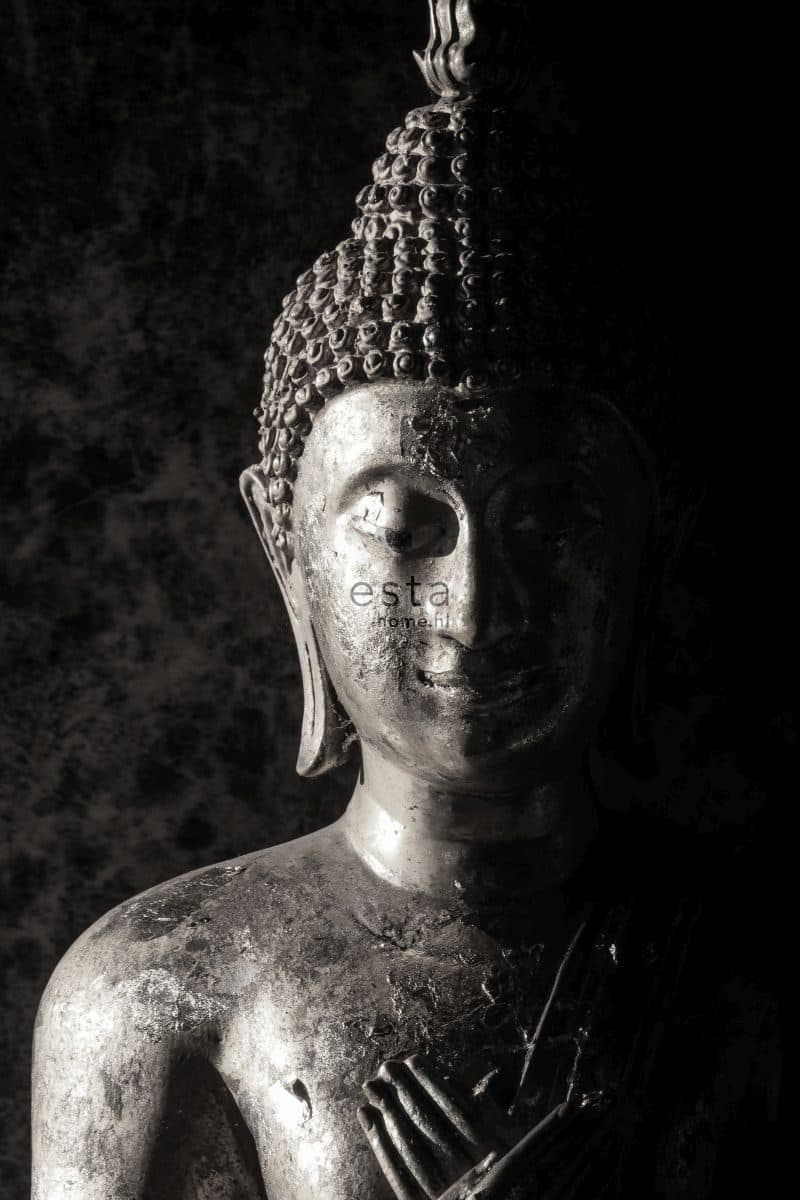 wall mural Buddha image black and white 158823