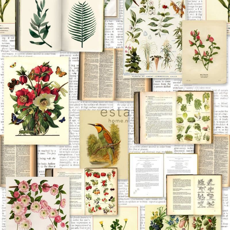 wallpaper XXL pages of botanical flowers and plants book light cream beige, green, brown and yellow ocher 158825