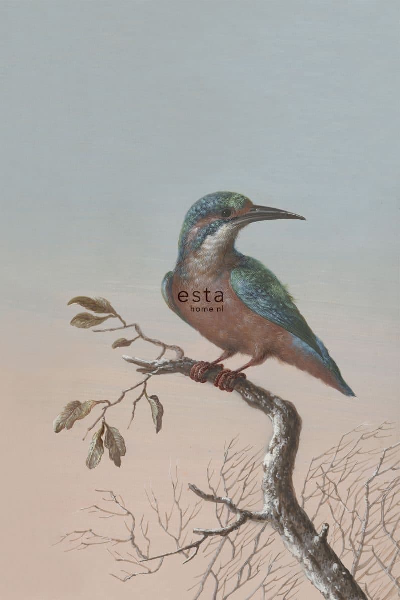 wall mural kingfisher on branch sunset sky 158888