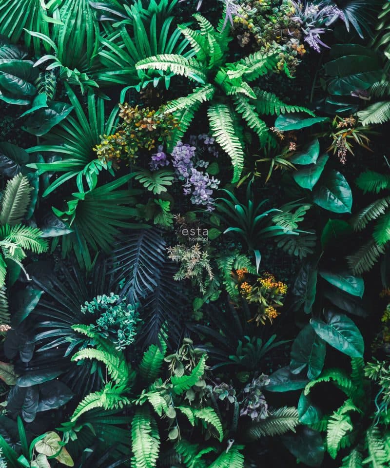 wall mural tropical plants green 158900