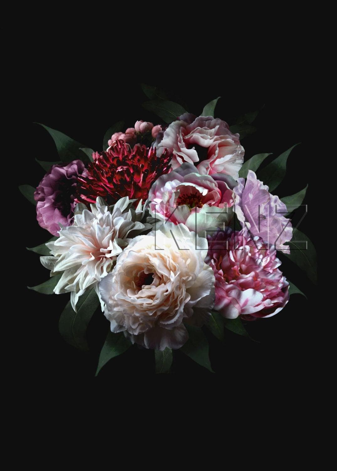 wall mural flower still life multicolor on black 158944