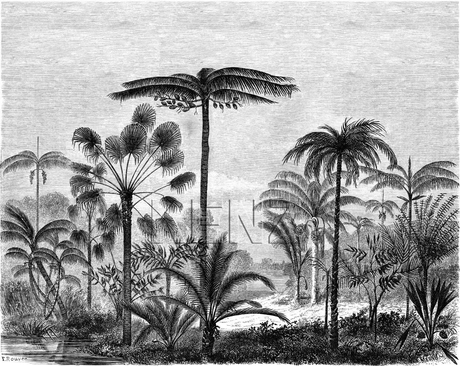 wall mural tropical landscape with palm trees black and white 158952