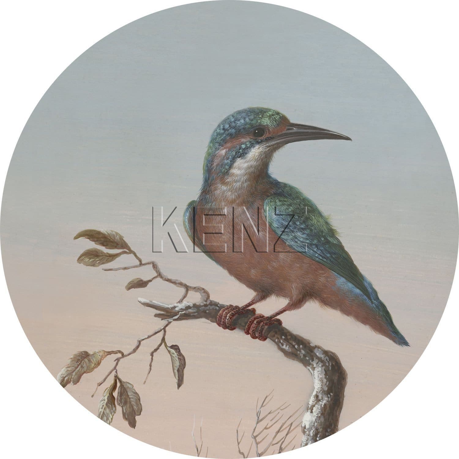 self-adhesive wallpaper circle kingfisher on branch sunset sky 158993