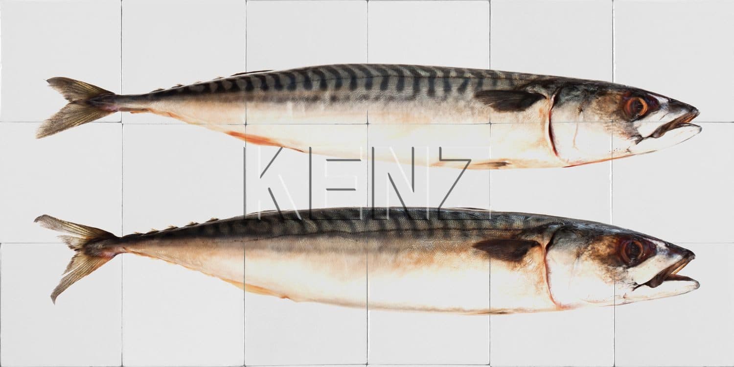 wall sticker fish gray 159030