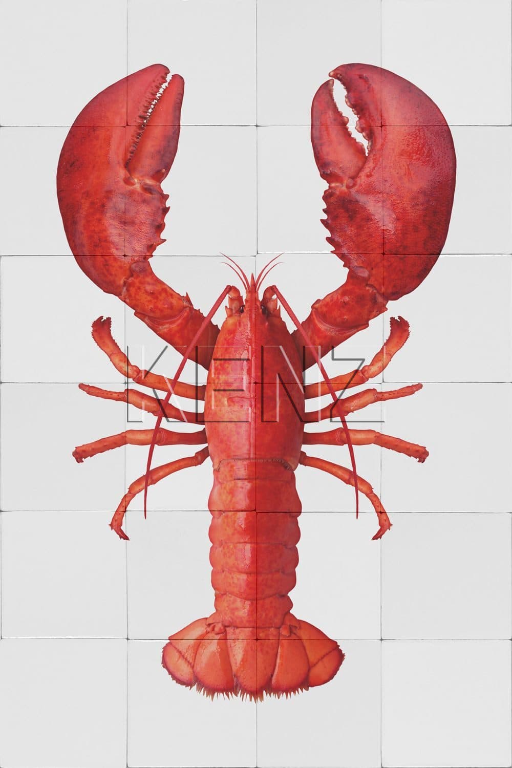 wall sticker lobster red 159032
