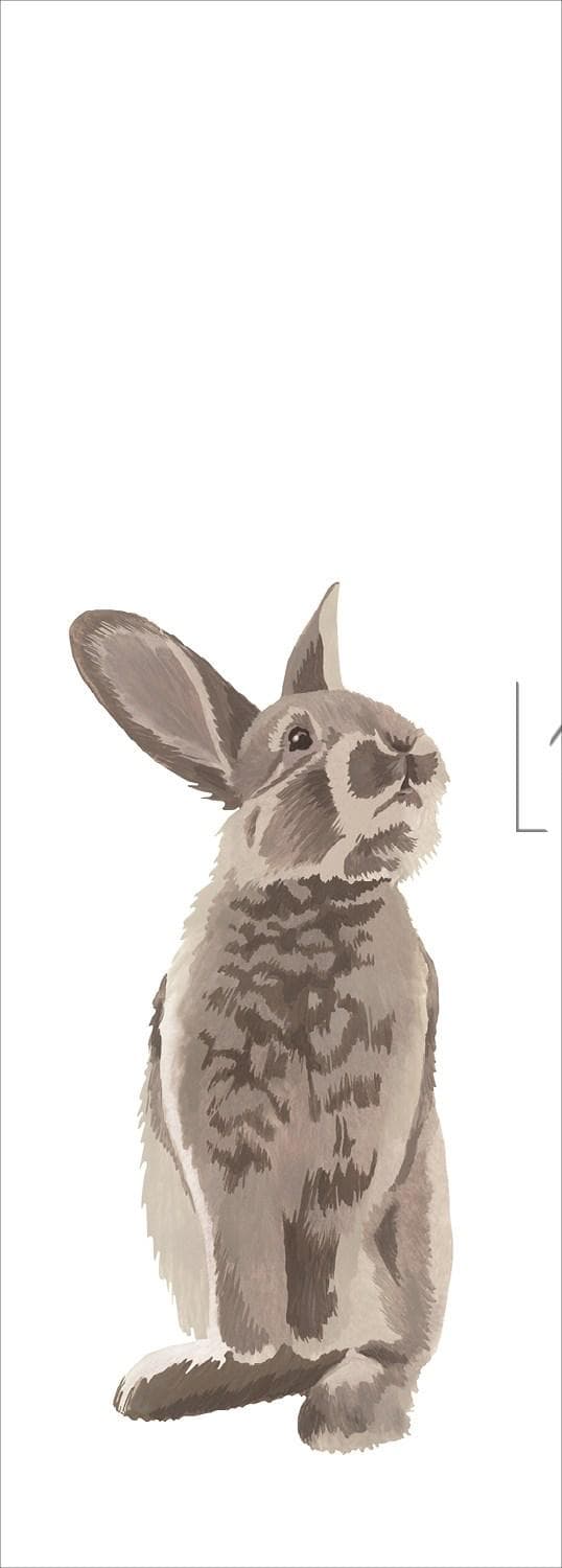 wall mural rabbit brown 159052