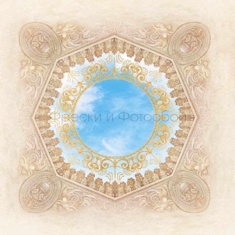 Ornament With Sky For The Ceiling