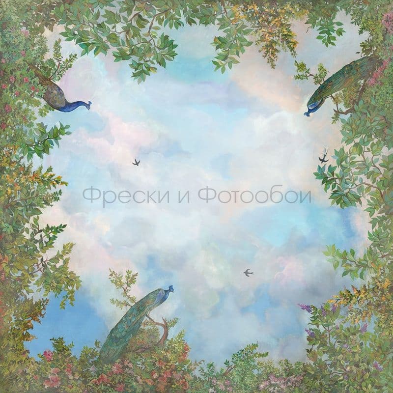 Sky With Peacocks