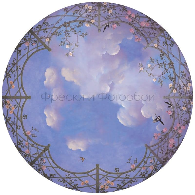 Sky In Curcle