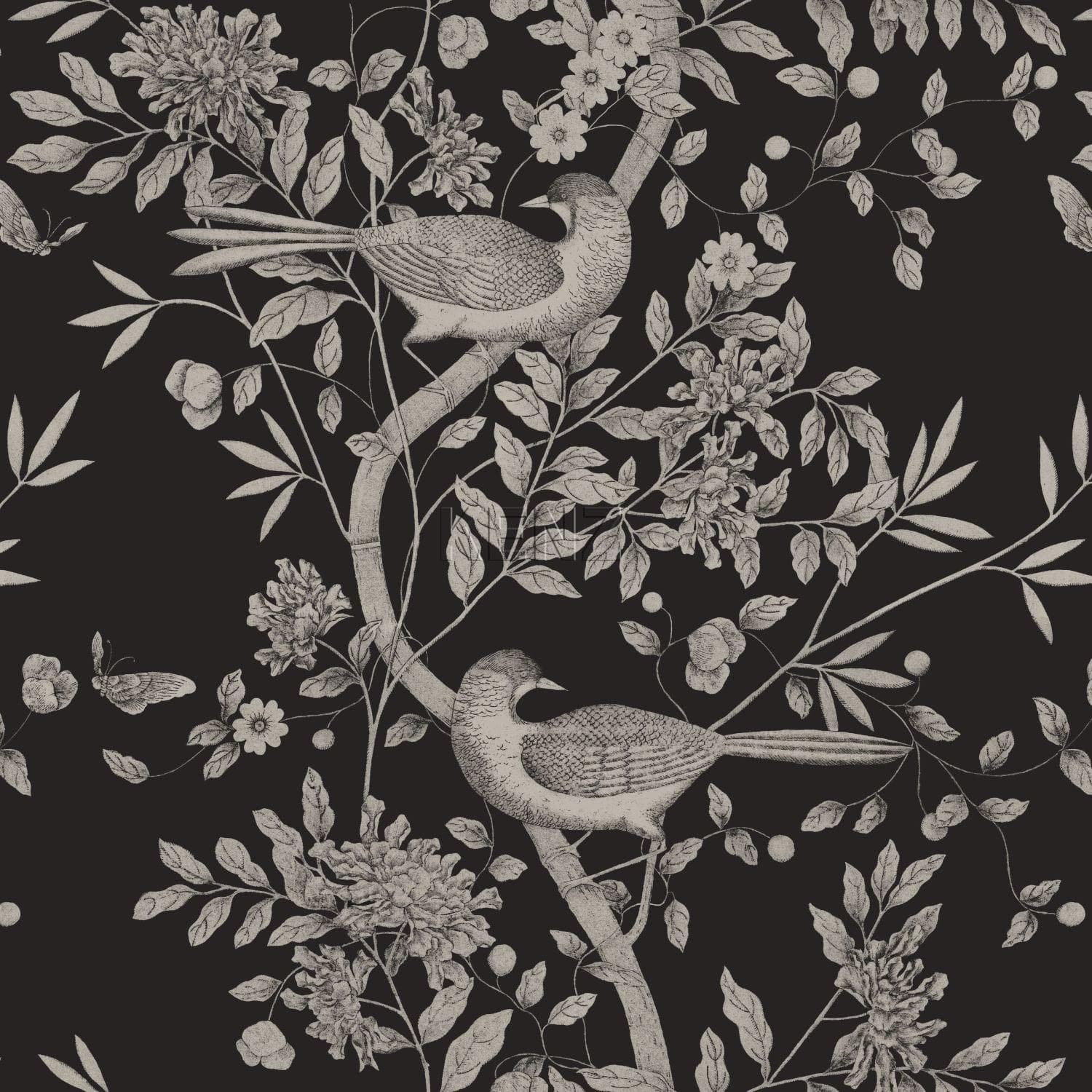 wallpaper bird engraving black 347435