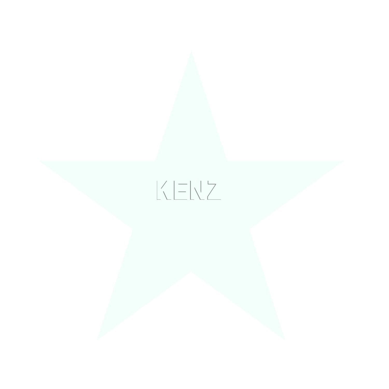wallpaper big star matt white and shiny pastel mint green 347506